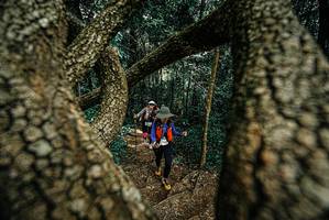 BIB: 
                            <button type="button" onclick="openModal(25703243)" class="btn btn-primary btn-sm float-right btn-popup" data-toggle="modal" data-target=".modal-high-quality">
                        <i class="fas fa-shopping-cart"></i> Add to Cart
                    </button>
                                            <button type="button" onclick="isThisMe(25703243, true)" class="btn btn-success btn-sm float-right btn-popup btn-isme hidden" data-toggle="tooltip" data-placement="bottom" title="นี่คือรูปของคุณใช่ไหม คลิกที่นี่เพื่อเอาเข้าอัลบั้ม">
                        <i class="fas fa-plus"></i> Add to album
                    </button>
                    <button type="button" onclick="isThisMe(25703243, false)" class="btn btn-warning btn-sm float-right btn-popup btn-isnotme hidden">
                        <i class="fas fa-ban"></i> Remove from album
                    </button>